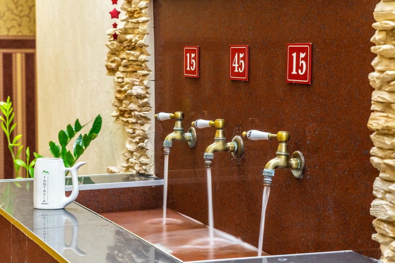 Отель Fantasia Hotel Поляна-12